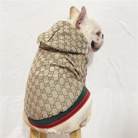 gucci coat pink|gucci coats for pets.